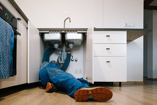Professional Plumbing technician working in Lively, VA
